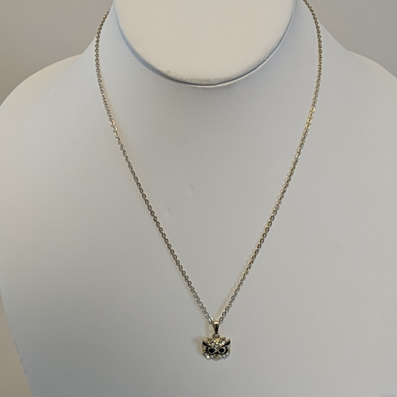Charming Charlie Jewelry - Owl Necklace 🦉